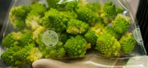 Вакуум плик за готвене и съхранение, гладък, 200x250 мм, 75 µm, пакет 50 бр