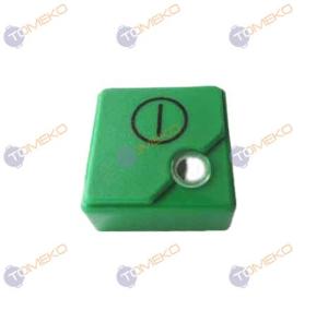 Пусков бутон, зелен