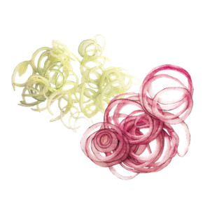 Диск за рязане на шайби, различни размери - spareparts.tomeko.bg Диск за рязане на шайби, различни размери