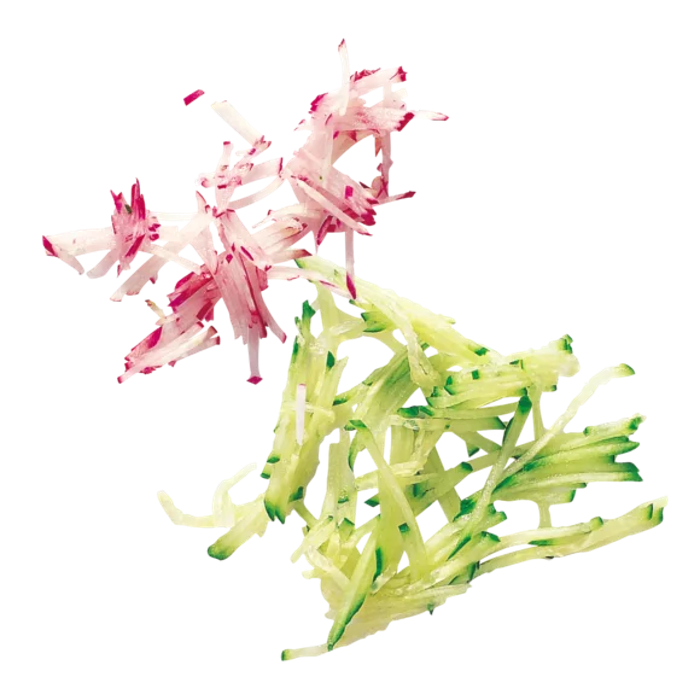 Диск за рязане на жулиени с Mineral+, различни размери - spareparts.tomeko.bg Диск за рязане на жулиени с Mineral+, различни размери